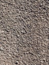 Surface of loosened soil with grass seeds Royalty Free Stock Photo