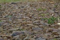 Surface made out pebbles and stones Royalty Free Stock Photo