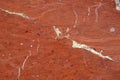 Surface of the marble stone treated Royalty Free Stock Photo