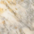 Surface of the marble with white tint Royalty Free Stock Photo