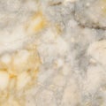 Surface of the marble with white tint Royalty Free Stock Photo