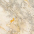 Surface of the marble with white tint Royalty Free Stock Photo