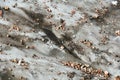 Surface of a melting mountain glacier covered with stones and rubble