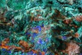 Surface of mineral stone background