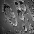 Surface of the Moon with detailed craters. Elements of this image were furnished by NASA Royalty Free Stock Photo