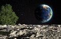 The surface of the moon with a green tree and the planet Earth on a background of the starry sky. Creative conceptual 3D rendering