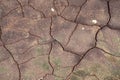 Surface of mud with cracks Royalty Free Stock Photo