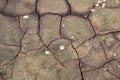 Surface of mud with cracks Royalty Free Stock Photo