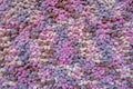 Surface of a multicolored rug knitted by a dense fluffy wool thread, which is an array of rounded loops of brown and pink colors