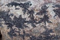 Surface of natural black and dark red stone Royalty Free Stock Photo
