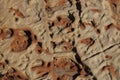 Surface of natural colored and structured sandstone
