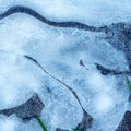 Surface of natural ice covering on water in winter. Ice texture with intersperses of frost, crystals of frozen water Royalty Free Stock Photo