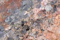 Surface of natural  red stone crimson quartzite porphyry overgrown with moss and lichen Royalty Free Stock Photo