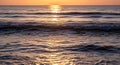 Gentle Ocean Waves Reflecting the Golden Sunset Light on the Water Surface with Ripples Royalty Free Stock Photo