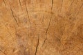 The surface of an old cracked wood for natural background, in shallow focus