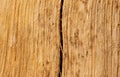 The surface of an old cracked wood for natural background, in shallow focus