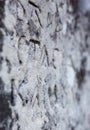 The surface of the old cross gravestone Royalty Free Stock Photo