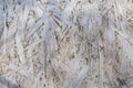 Surface of the old painted oriented strand board, background Royalty Free Stock Photo