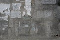 Surface of an old weathered bulletin board with remnants of torn paper ads, abstract grunge background texture, copy space Royalty Free Stock Photo