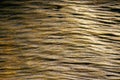 The surface of an old wood for natural background and wallpaper