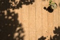 Surface of orange wooden background with flowerpot at right corner and trees foliage