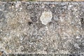 A surface out of concrete in geeste emsland germany Royalty Free Stock Photo