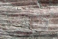The surface of Phyllite schists of Proterozoic age Royalty Free Stock Photo