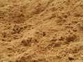 Surface of a pile of brown sand