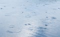 Surface of puddles during rain. Rain drops in the water Royalty Free Stock Photo