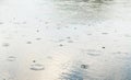 Surface of puddles during rain. Rain drops in the water Royalty Free Stock Photo