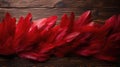 surface red feathers Royalty Free Stock Photo