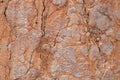 The surface of red nodular limestone Royalty Free Stock Photo