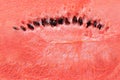 Surface of red watermelon texture background. Royalty Free Stock Photo