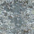 Surface rock with lichen seamless pattern from northern mountain