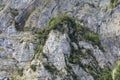 Surface of rocks of Swiss Alps