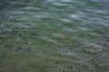 The surface is salty sea water, swaying in small waves near the shore, through the transparent bottom you can see stones Royalty Free Stock Photo