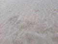 Surface of sand pattern on the beach made by crab Royalty Free Stock Photo