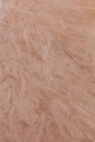 Surface sand with traces Royalty Free Stock Photo