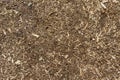 surface of sawdust and dirt as a texture