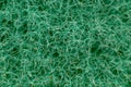 Surface of sponge scrub texture macro close up Royalty Free Stock Photo
