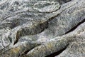 Closeup of the Surface of a Stone