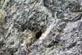 Closeup of the Surface of a Stone