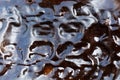 The surface of sugar kelp Saccharina latissima Royalty Free Stock Photo
