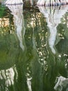 Surface of swamp water showing reflections of two cypress trees Royalty Free Stock Photo