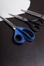 On the surface of the table are three pairs of scissors and a patch of excised tissue.
