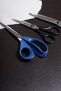 On the surface of the table are three pairs of scissors and a patch of excised tissue. Royalty Free Stock Photo