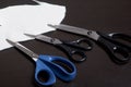 On the surface of the table are three pairs of scissors and a patch of excised tissue. Royalty Free Stock Photo