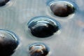 Surface tension demonstration with plums in water