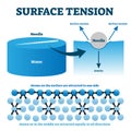 Surface tension explanation vector illustration diagram Royalty Free Stock Photo