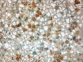 The surface of terrazzo.abstract background Royalty Free Stock Photo